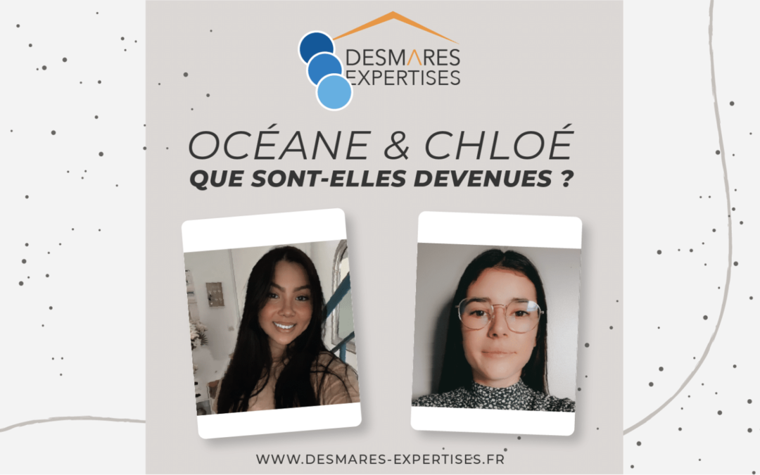 Océane & Chloé, stagiaires Desmares Expertises : que sont-elles devenues ?