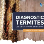 visuel-article-diagnostic-termites
